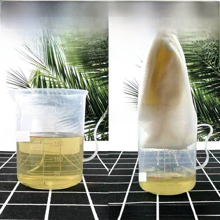 Disposable Thickened Wood Pulp - مراجعة Home Barber وسعره